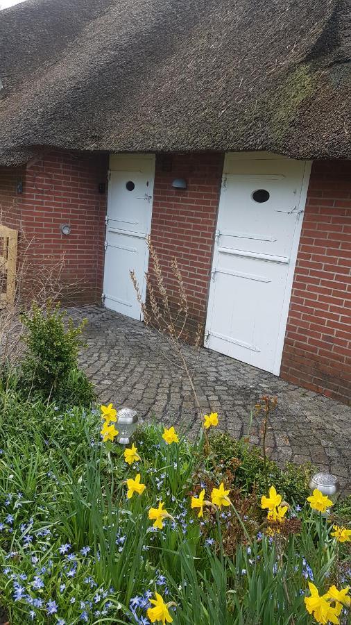 Appartement Friesenglueck In Syltnaehe! à Braderup  Extérieur photo